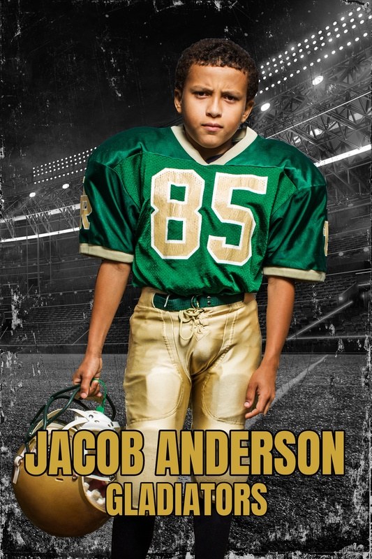 Stadium sports personalized poster example